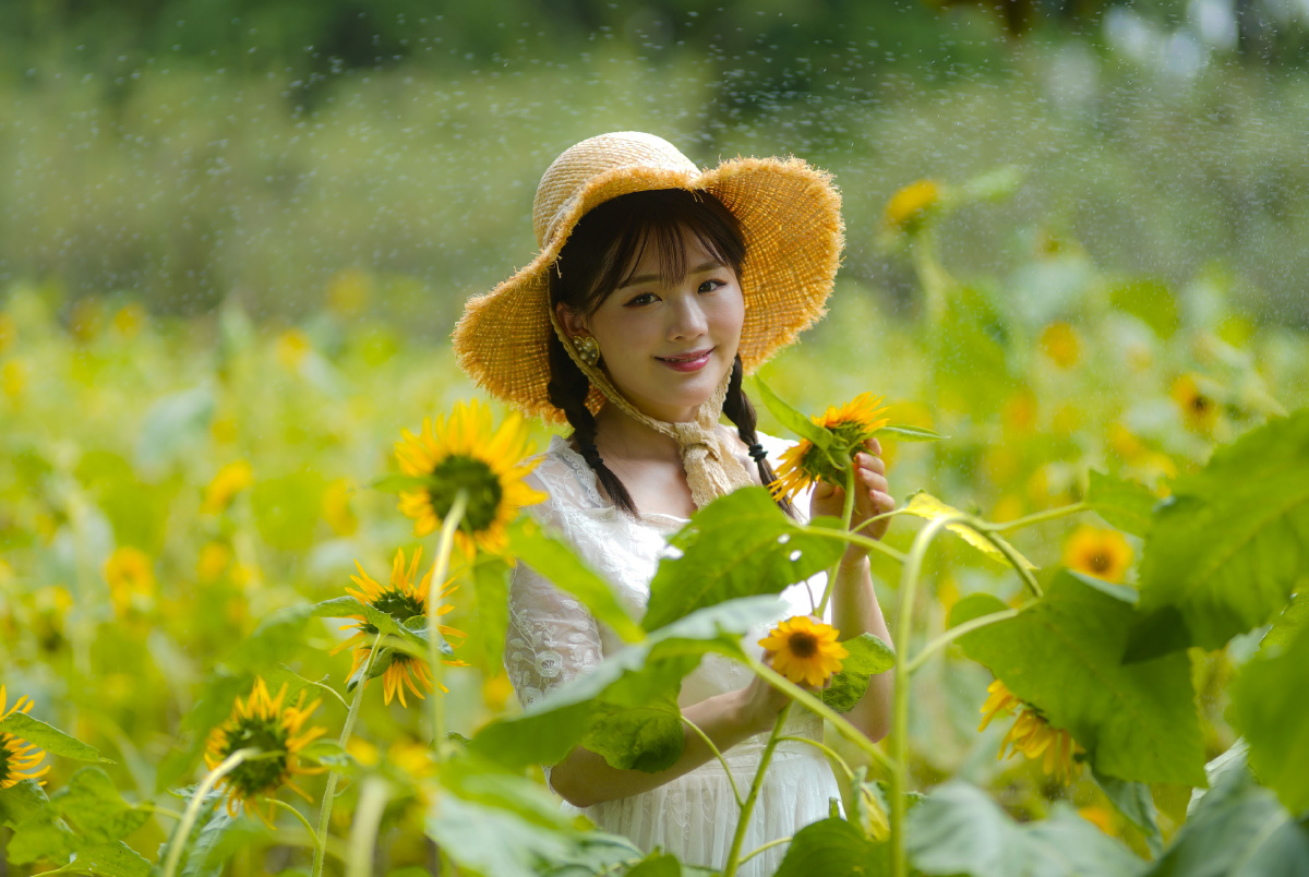 顶着35度高温闵行体育公园拍摄向日葵和白衣姑娘久违的阳光驱散梅雨