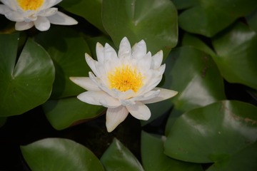 91978950-4FAC-4F38-B550-9903AB21C8C5/L0/001