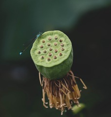 21703