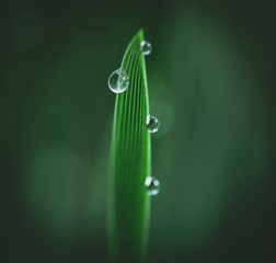 1200