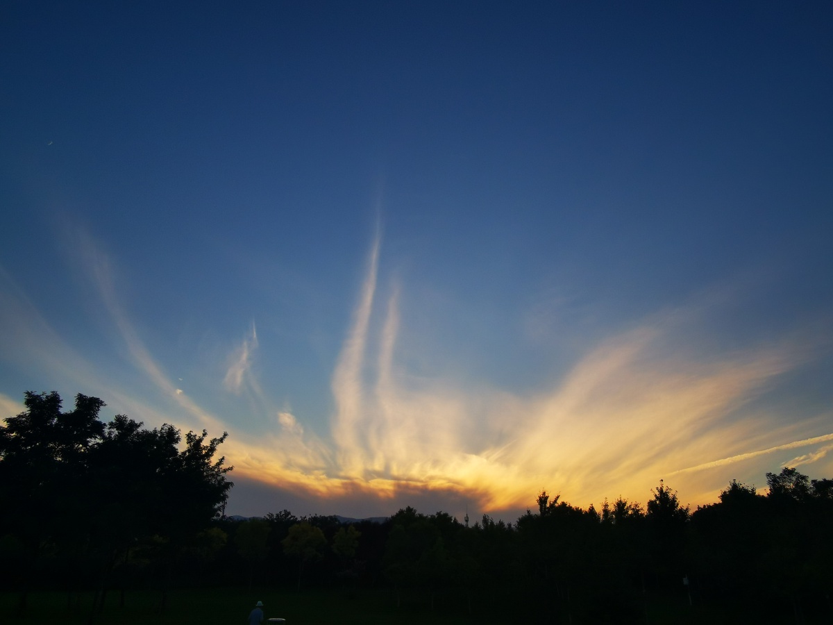 夕阳下的凤尾云