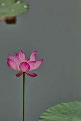 ab30b471713f8674bbf985f112f4dcbe