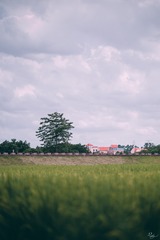 162070