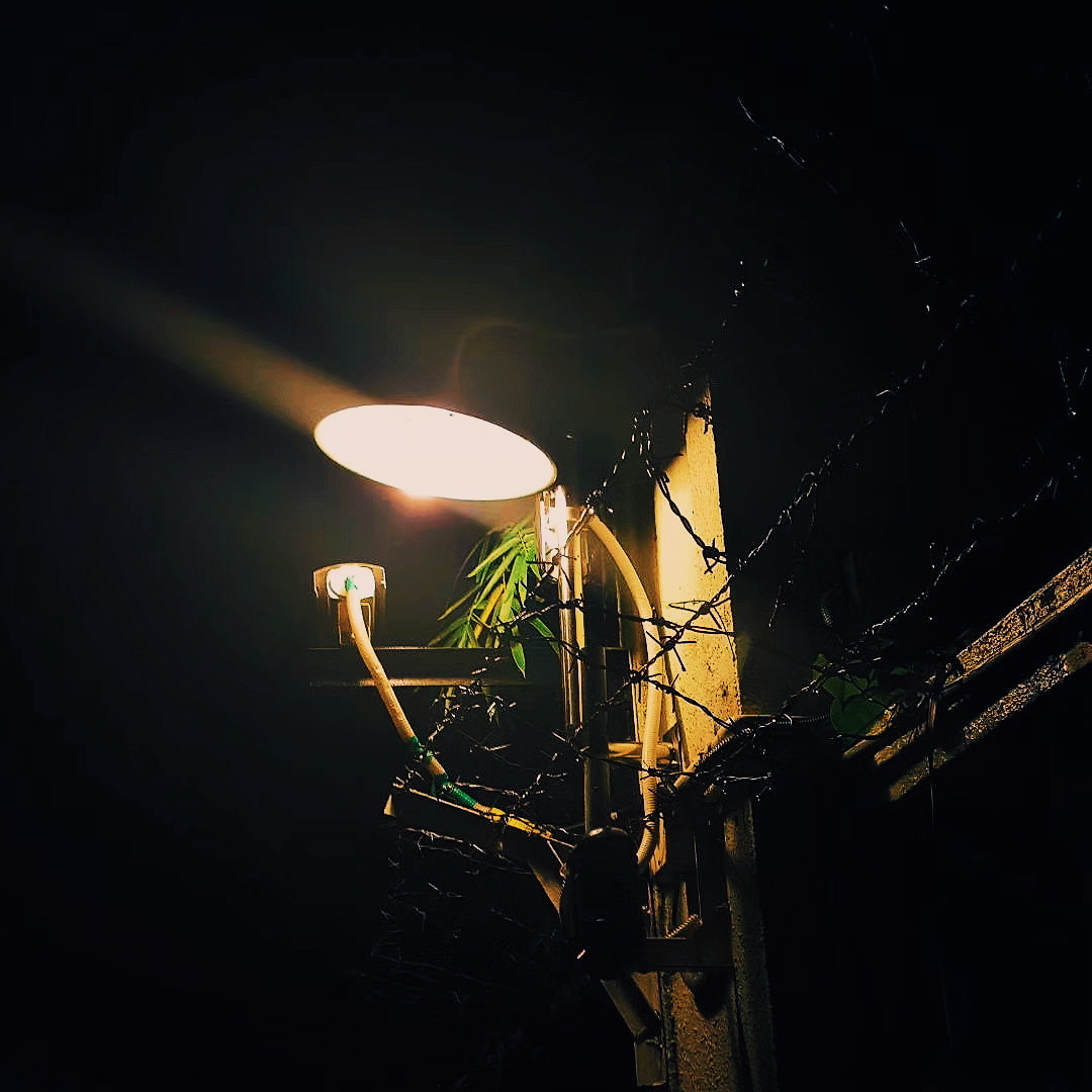 平平无奇的一盏街灯真的是平平无奇吗