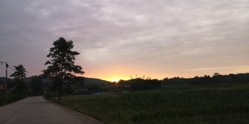 846629