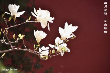 AAA_7434__