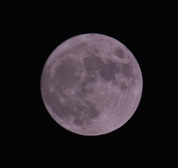 1706037