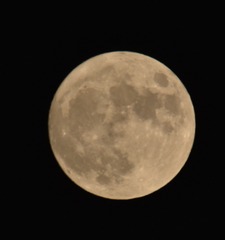 1706038
