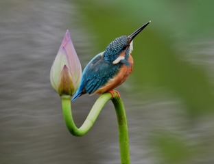 1704878