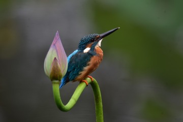 1704804