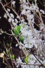 71B16D5E-C823-4651-B708-8FB984F471E8/L0/001
