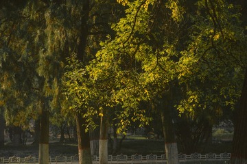 0DDEF9C0-620E-45D9-AE44-EA0D5290CB1F/L0/001