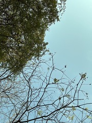 38DCF21C-A17F-4815-8F09-D48210E85C08/L0/001