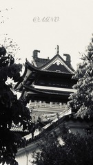 936B462B-BC75-42C1-9514-A65AD545625D/L0/001