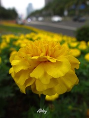 7A3511D7-388D-4FA3-8FFD-2FBC60FE0E70/L0/001