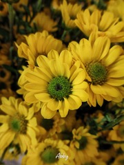 1F851FDB-328F-45E6-92CF-0C865E51554C/L0/001