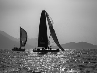 IMGP0855m