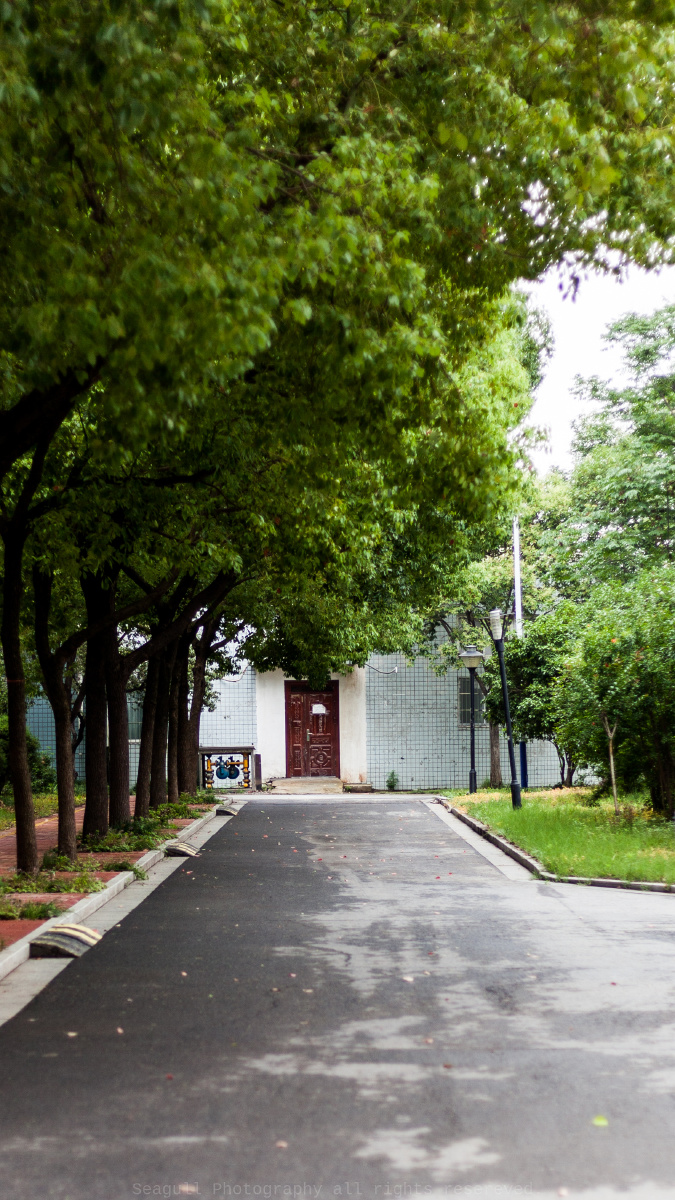 师大印象摄于安徽省阜阳市颍州区清河西路100号阜阳师范大学西湖校区