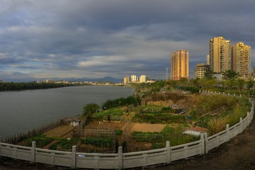 03DSC01372