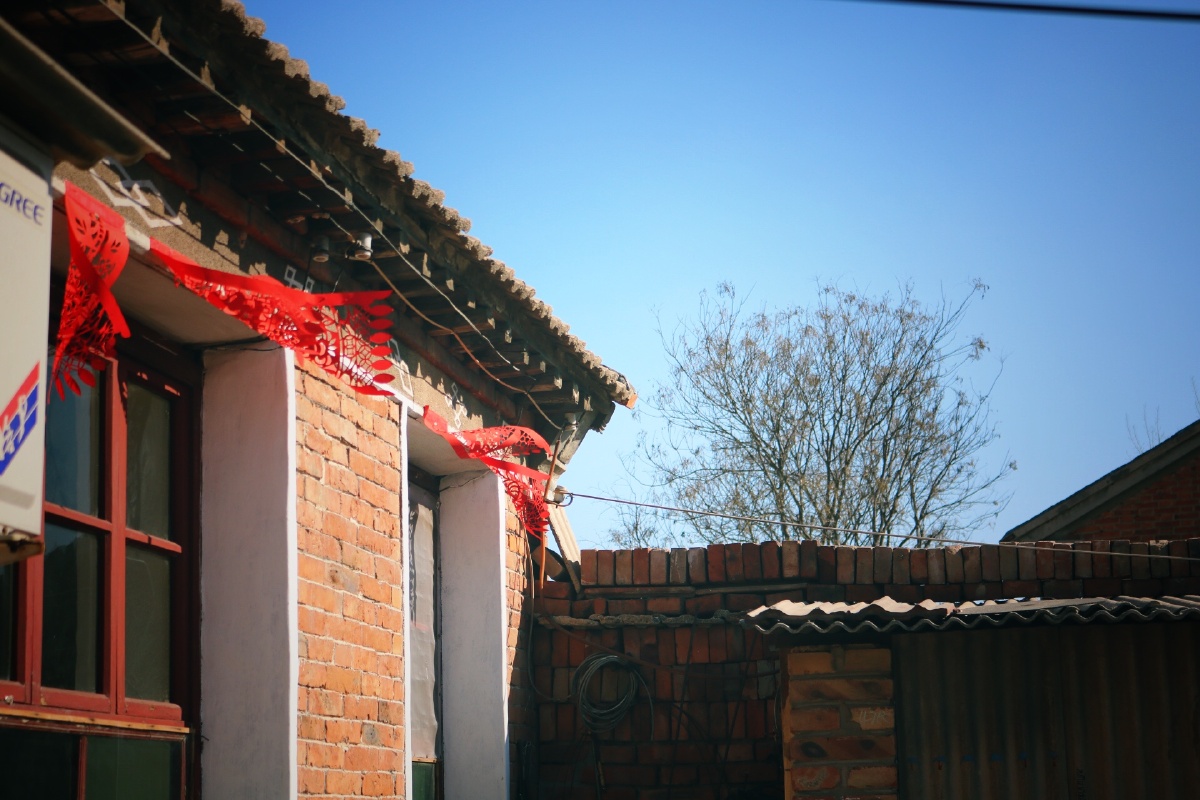 天津农村的春节