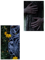 5BC56A7C-2152-444A-8BE5-F1981F7ECDBA/L0/001