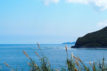 FA923A69-2F63-4895-BA0D-33C1AD53936A/L0/001
