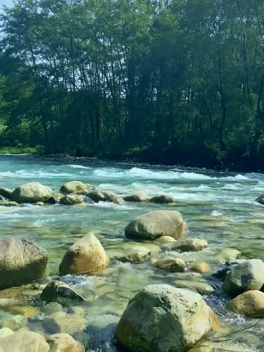大自然的声音它一定能解压