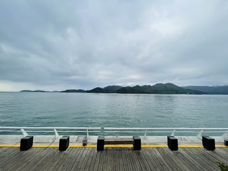 3F6895E0-1B4F-4DFF-A05F-DA2963A0320A/L0/001