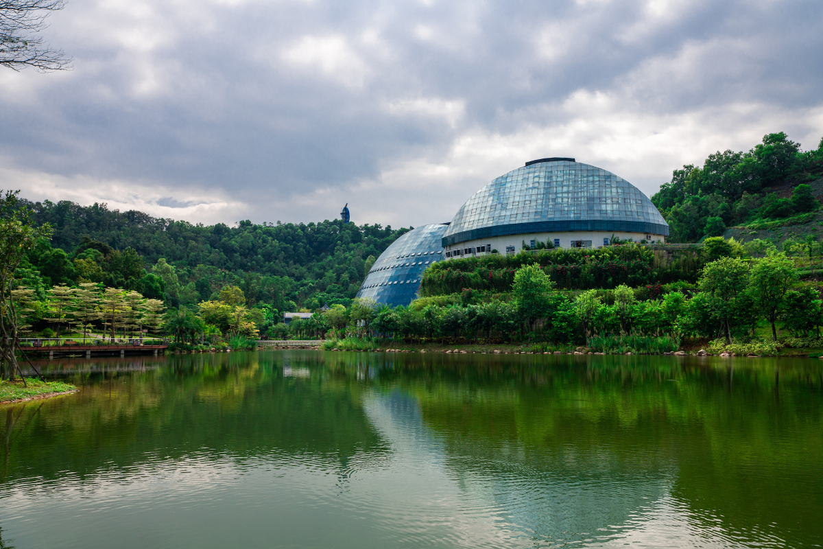 惠州植物园 - 野生摄影菌