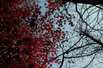 E34D9B1F-4514-43CF-B94D-AF044182EED8/L0/001