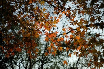 638AA5F3-3569-4B3B-9C6F-2DDD2F99DAE5/L0/001