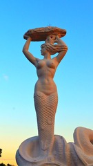 14262