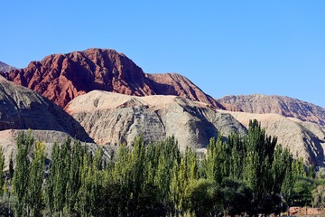 18995