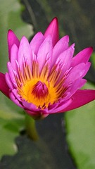 17046