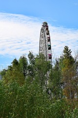 27005