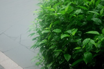 80F07895-F8F7-4054-AE47-DDDE55F5413B/L0/001