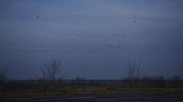 026470CF-F7C2-41EB-9FD0-1FF2A136784D/L0/001