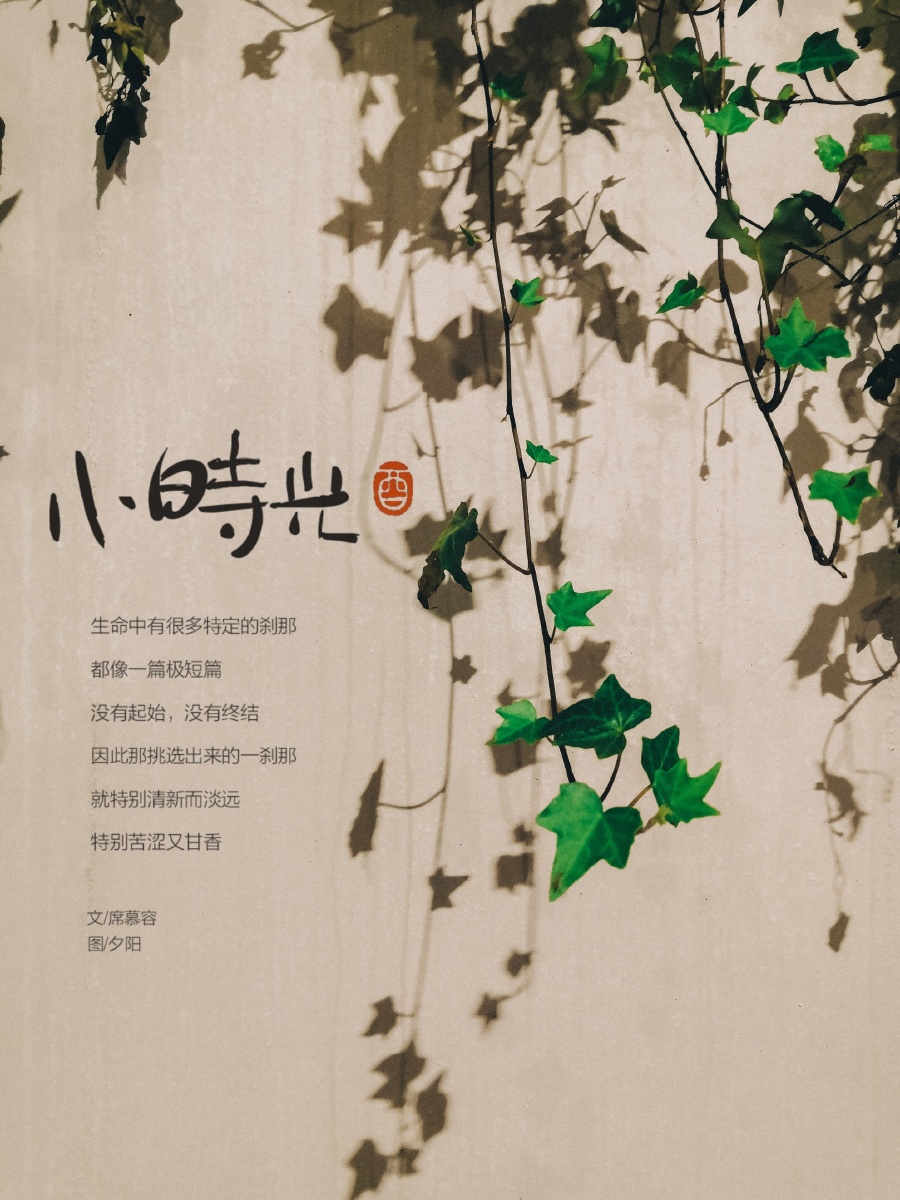 斑驳了岁月婆娑了时光