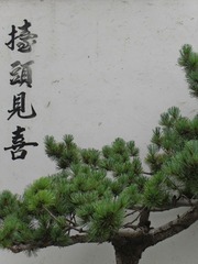 DB031711-CB3B-4D77-907F-1C0447759253/L0/001