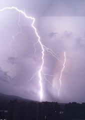 429568
