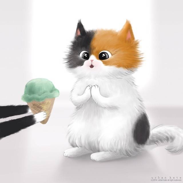 韩国插画师描绘出家里两只猫咪的甜蜜日常慵懒又惬意