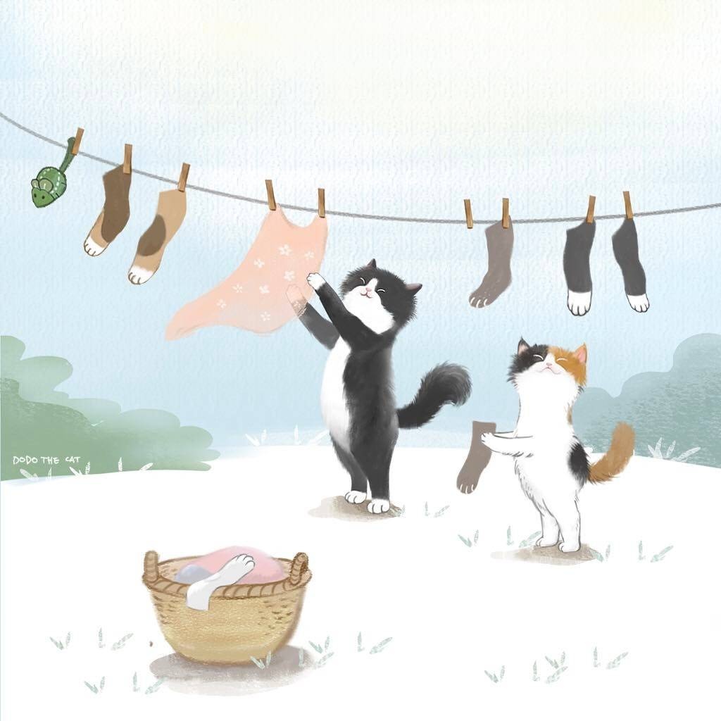 韩国插画师描绘出家里两只猫咪的甜蜜日常慵懒又惬意