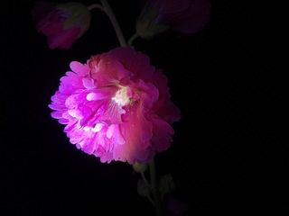 1F2593EC-5D49-4194-B9E3-7F5100616C38/L0/001