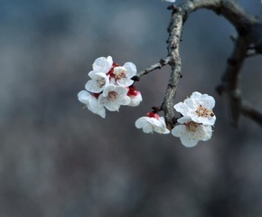 Optional("415331DB-F398-4B7D-867A-73F41C556D93/L0/001")