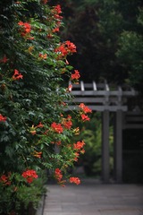 90C8BC20-21CC-4482-B6F0-763637AD91AE/L0/001