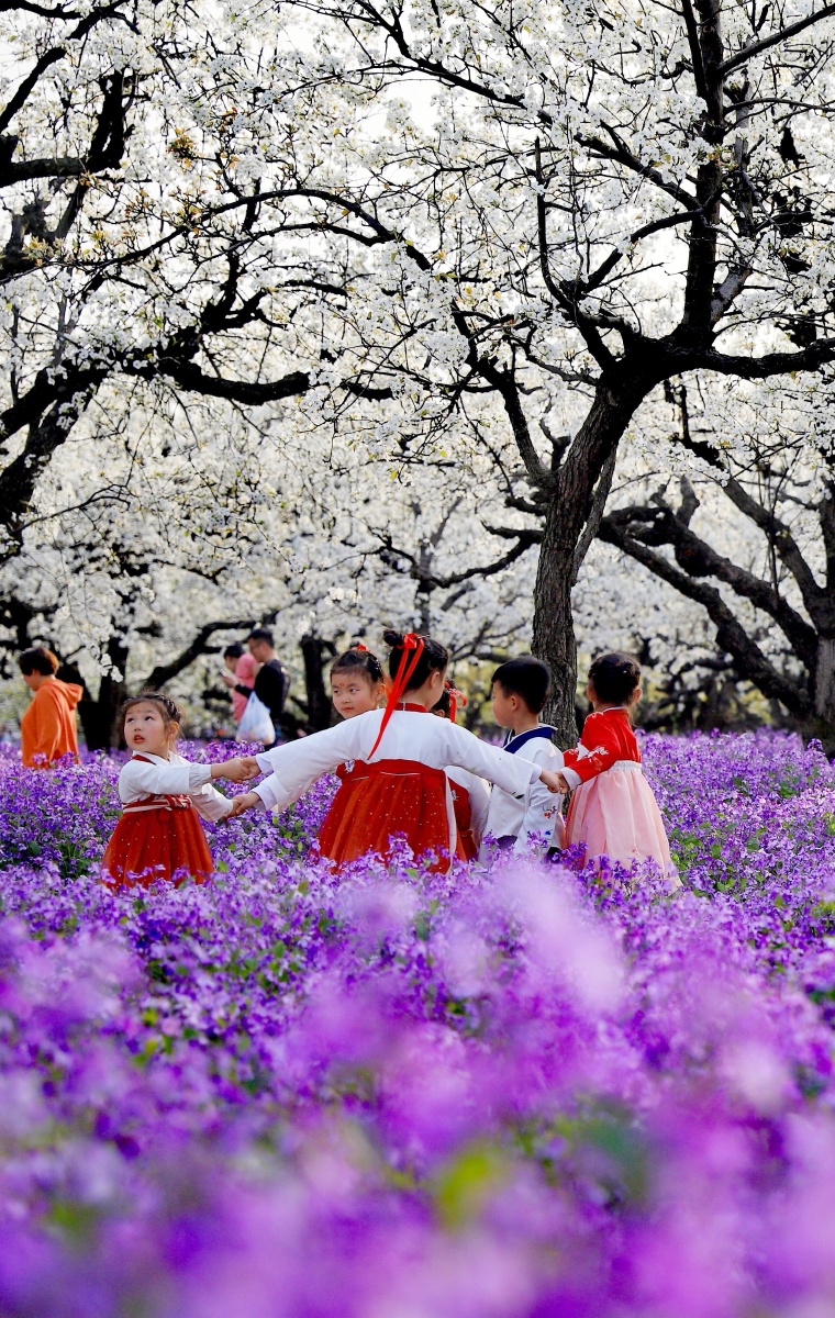 人间醉美梨兰会