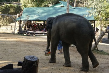 _DSC2422