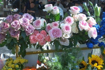2E21AE20-15CB-408E-946E-189A121F94CD/L0/001
