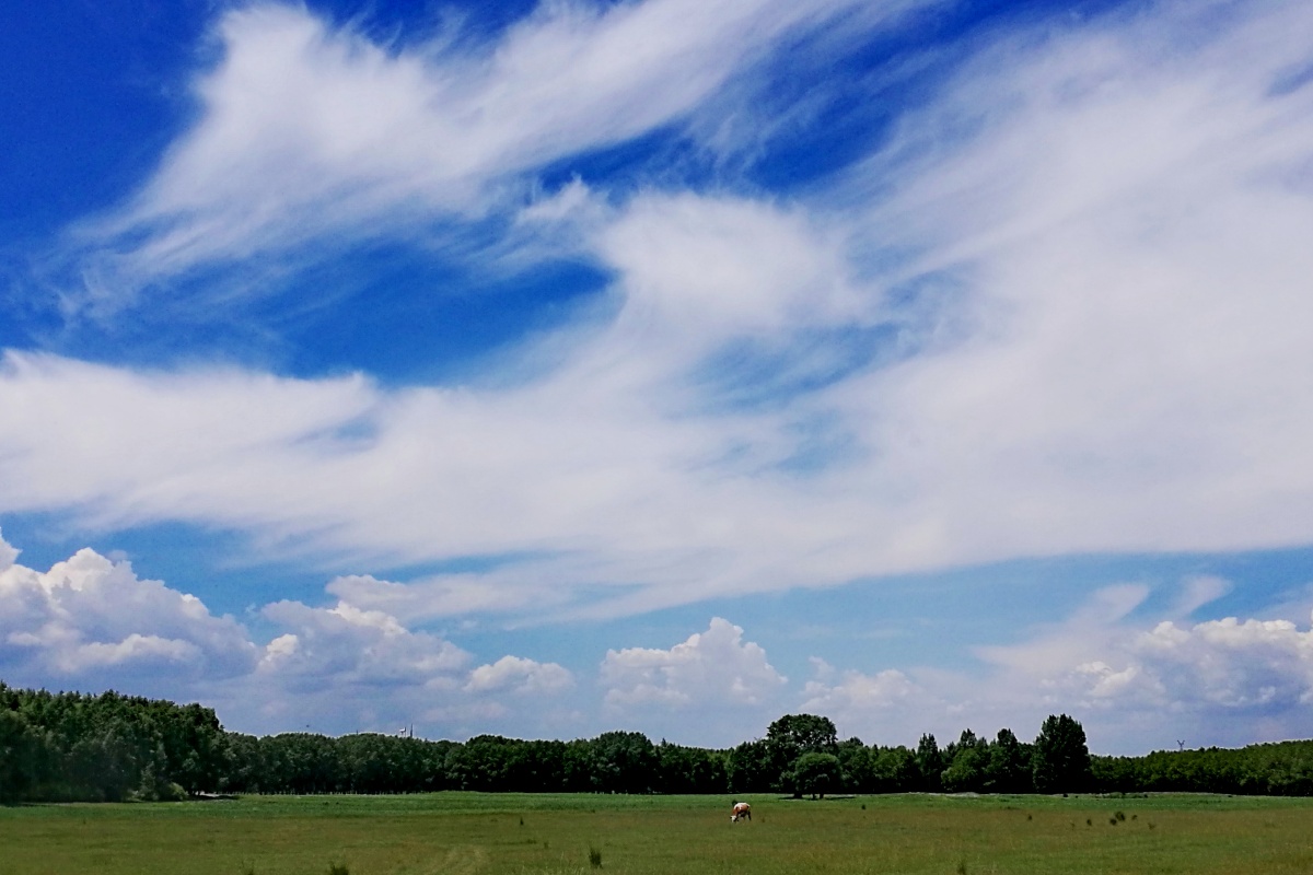 蓝是蓝,绿是绿 河北张北太子湖