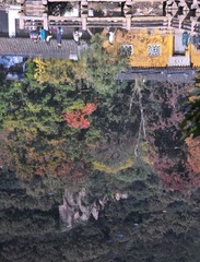 1000066433